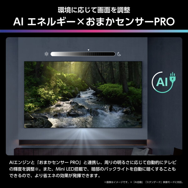 Hisense 50U8R [50V型 地上・BS・110度CSデジタル 4Kチューナー内蔵 4K対応 液晶テレビ]_16
