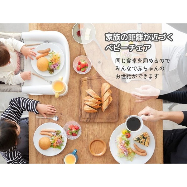 イングリッシーナ ファスト チャコール トレー付 156200 Inglesina [ベビーチェア (腰すわり〜36カ月頃まで)] 【保証期間：1年】_2