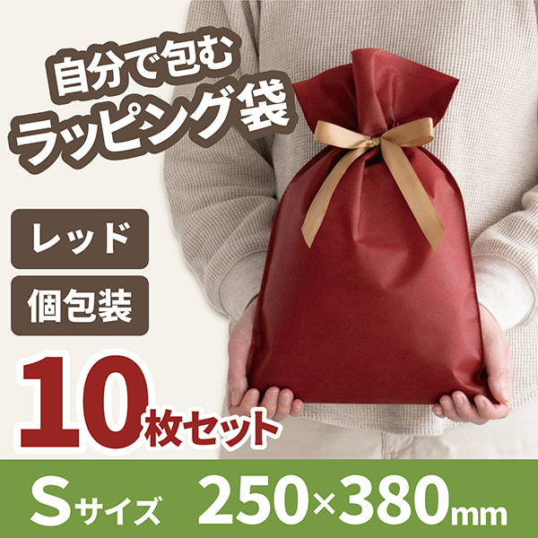 【10枚セット】ヘッズ 不織布巾着 レッド S ERBS