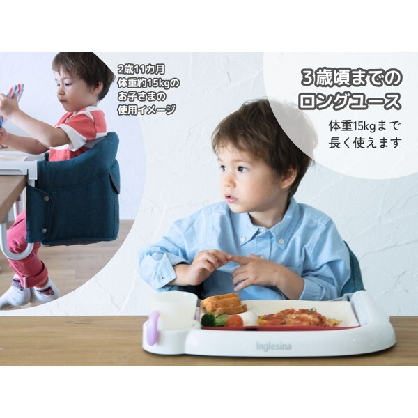 イングリッシーナ ファスト チャコール トレー付 156200 Inglesina [ベビーチェア (腰すわり〜36カ月頃まで)] 【保証期間：1年】_4