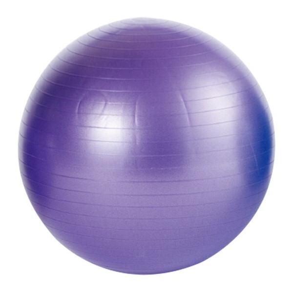 5個セット】 ARTEC バランスボール ATC71123X5(代引不可)【送料無料