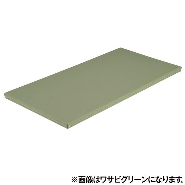 EVERNEW エバニュー EKR063 500 全柔連公認畳関西間 国際グリーン メーカー直送の通販は