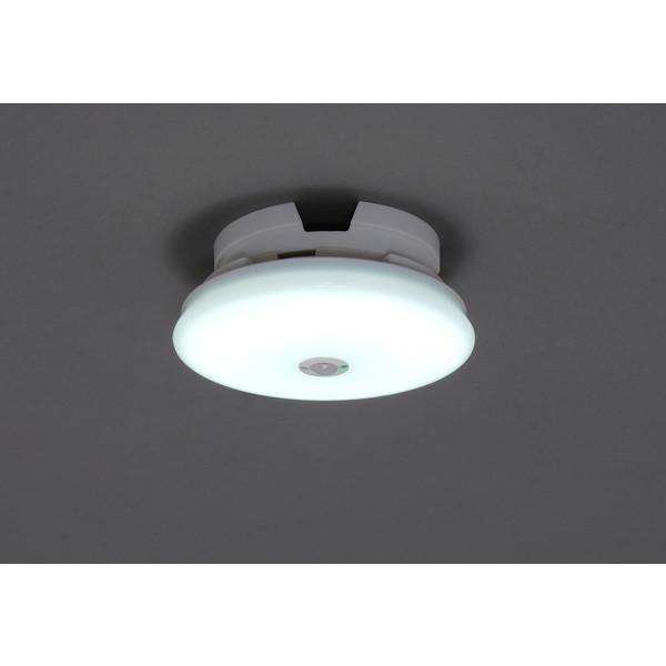 アイリスオーヤマ SCL6DMS-UU [小型LEDシーリングライト 薄形 600lm (昼光色) 人感センサー付] メーカー直送