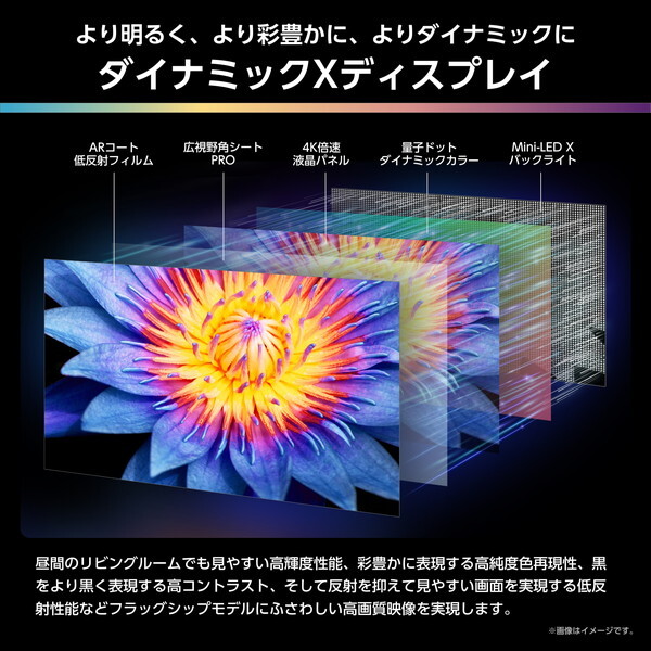 Hisense 65U9R [65V型 地上・BS・110度CSデジタル 4Kチューナー内蔵 4K対応 液晶テレビ]_4