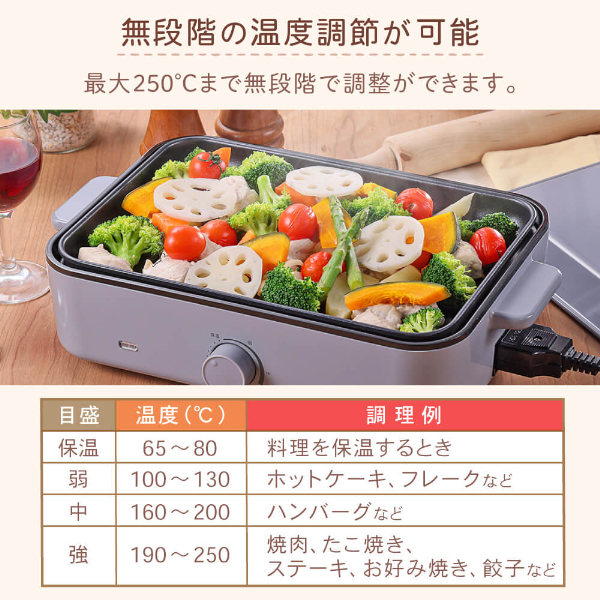 レア品　ピーターマルコポップな大皿 Tajima TAJIMA(タジマデザイン) GASFGLWM2550LR 剛厚Gダブルマグ