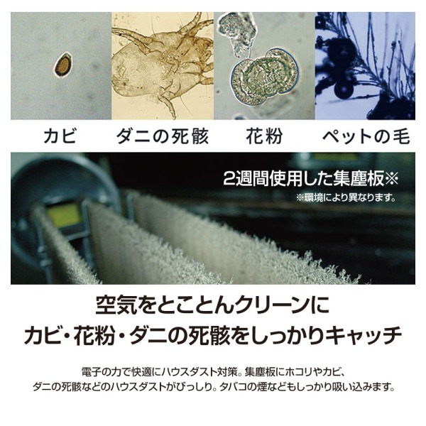 空気清浄機 フィルター交換不要 花粉 イオニックブリーズ MIDI 空気 