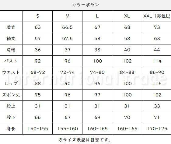 コスプレ服 学ラン オリジナル 男子学生服 選べる5色 2タイプ コスプレ