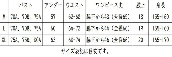 レディース水着 マリン ボーダー タンクトップ ワンピース ビキニ 3点