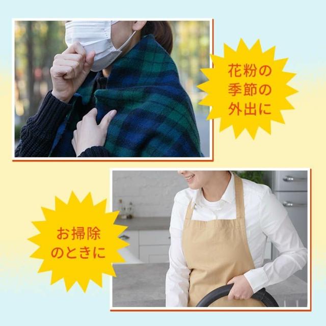 アイシェルター1箱 【送料無料:宅配便またはレターパックプラス】花粉