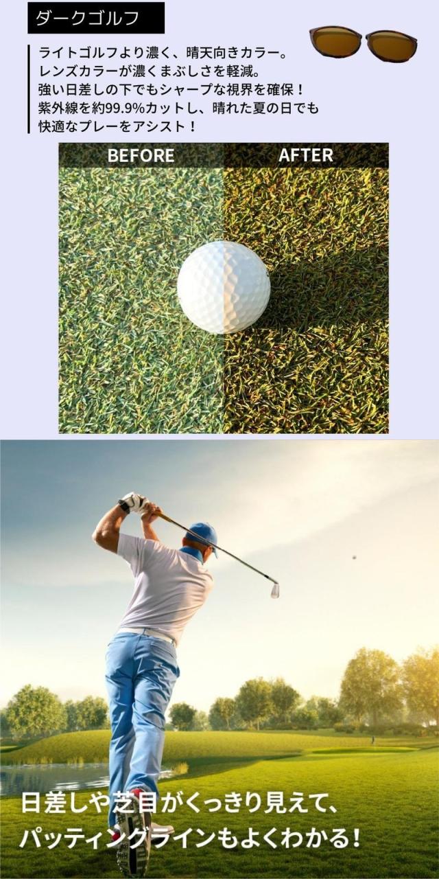 ラボシーンスイッチ グラス1箱 【送料無料:宅配便またはレターパック