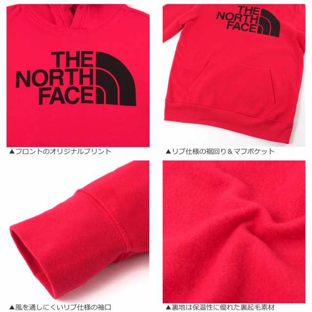 送料無料】 ノースフェイス パーカー TNF ロゴ プルオーバー 裏起毛