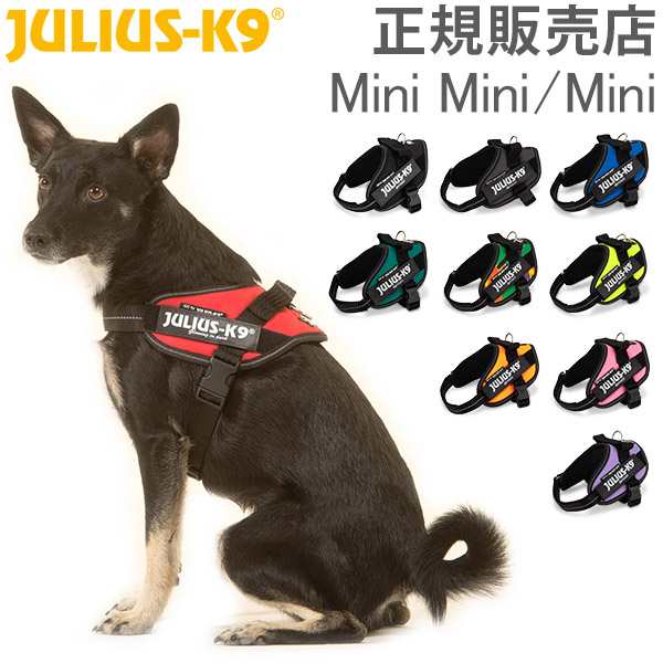 あす着] ユリウスケーナイン Julius-K9 IDC パワーハーネス 小型犬 中型犬 Mini Mini / Mini 犬用 ハーネスの通販はau  PAY マーケット - ガリバー au PAY マーケット店