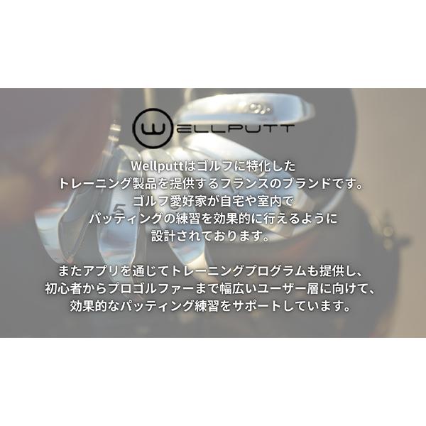 [あす着] ウェルパット Wellputt パターマット 4m スタンダードマット ゴルフ パター練習 WMAT-4M StandardMats_1