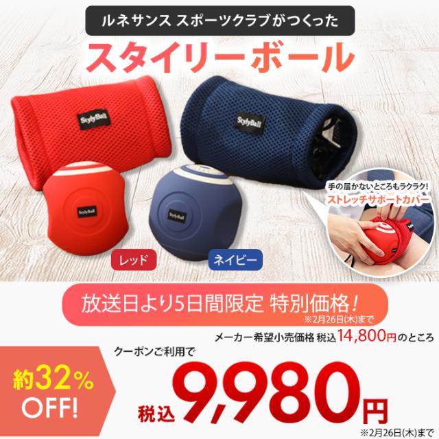 ルネサンス スポーツクラブがつくったスタイリーボール 通販スクープ