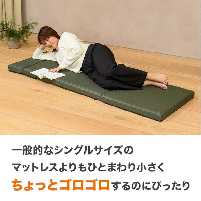 nishikawa ごろ寝マット スイート ニッポンめしあがれ テレビ朝日 テレ朝通販 ロッピング 寝具の老舗西川 ごろ寝 折って枕 座椅子にも ケース付_2