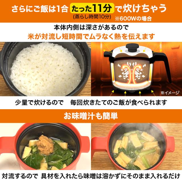 電子レンジ専用調理器具 レンジメート マグポット じゅん散歩 テレビ朝日 テレ朝通販 ロッピング 1台8役 深型タイプ_3