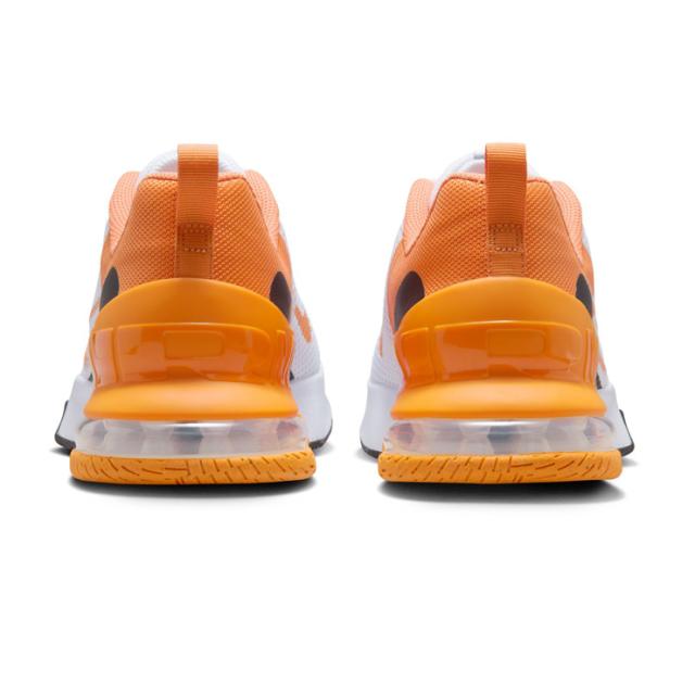 箱アウトレット】NIKE M AIR MAX ALPHA TRAINER 6 ローカット