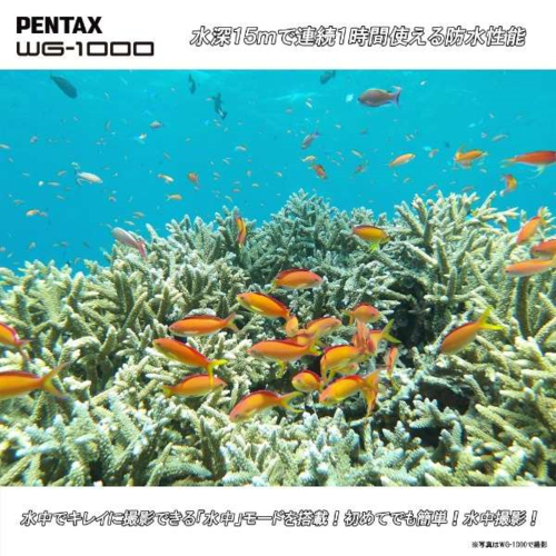 【長期保証付】ペンタックス(PENTAX) WG-1000 Olive オリーブ WG 防水デジタルカメラ 防塵 耐衝撃