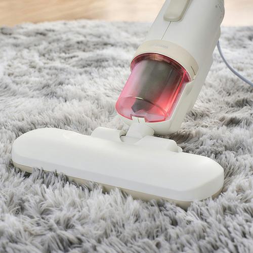 アイリスオーヤマ(Iris Ohyama) FCA-22H-C アイボリー 布団クリーナー