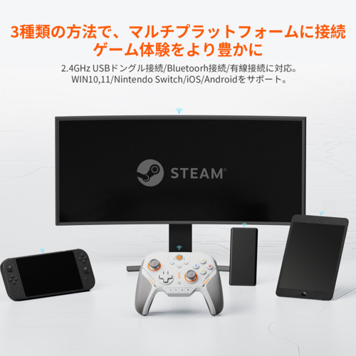 BIGBIG WON(ビッグビッグウォン) BIGBIG WON Blitz2 TMR 無線 Bluetooth、USBドングル /有線USB接続 コントローラー_9