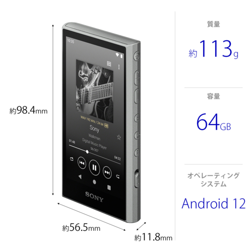 ソニー(SONY) NW-A307 H(グレー) ハイレゾ音源対応 ウォークマン