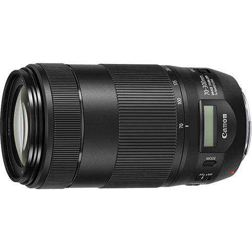 Canon 望遠ズームレンズ EF70-300mm F4-5.6 IS USM フルサイズ対応