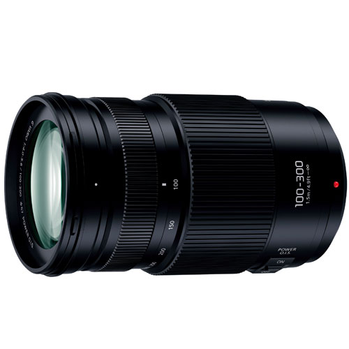 Canon EOS 80D + 高倍率ズームレンズ+オプションセット