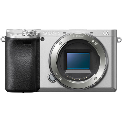 た*ん様 【中古美品】単焦点 SIGMA シグマ XIAOYI レンズ3本セッ