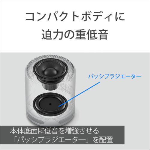 ソニー(SONY) SRS-XB100 B ブラック ワイヤレスポータブルスピーカー_4