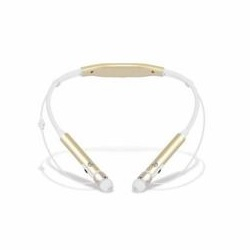 【長期保証付】シナジートレーディング KBS0001(シャンパン) ケンブン(見聞) スーパー集音器