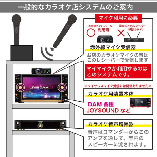 長期保証付】PENTATONIC(ペンタトニック) カラオケマイマイク Pro GTM