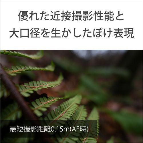 ソニー(SONY) FE 16mm F1.8 G ソニーEマウント 大口径超広角単焦点Gレンズ SEL16F18G_4