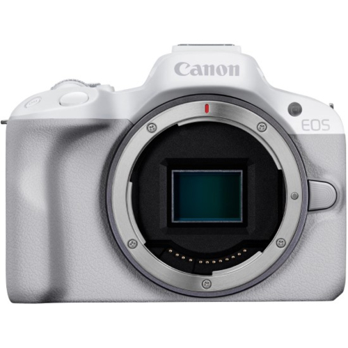 【光学美品】Nikon AF-S 18-35mm F3.5-4.5 ED CANON(キヤノン) EOS R50 ボディ ホワイト APS-C ミラーレス一眼カメラ