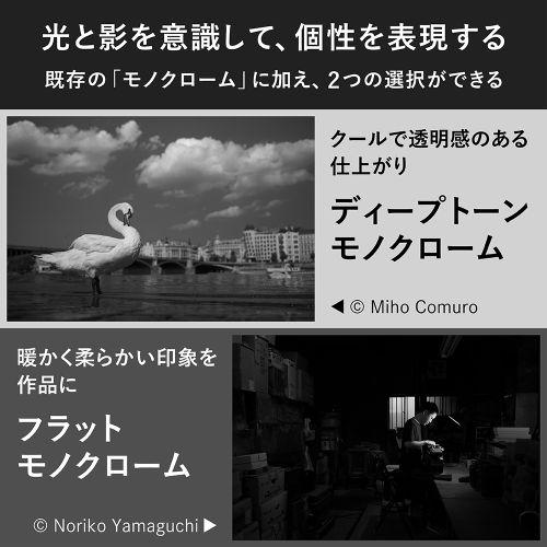 ニコン(Nikon) Zf ボディ シルバー フルサイズ ミラーレス一眼カメラ_6