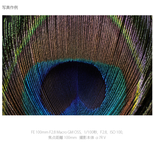 【長期保証付】ソニー(SONY) FE 100mm F2.8 Macro GM OSS ソニーEマウント SEL100M28GM 中望遠マクロレンズ_18