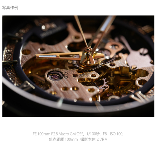 【長期保証付】ソニー(SONY) FE 100mm F2.8 Macro GM OSS ソニーEマウント SEL100M28GM 中望遠マクロレンズ_19
