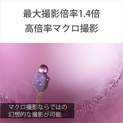 【長期保証付】ソニー(SONY) FE 100mm F2.8 Macro GM OSS ソニーEマウント SEL100M28GM 中望遠マクロレンズ_4