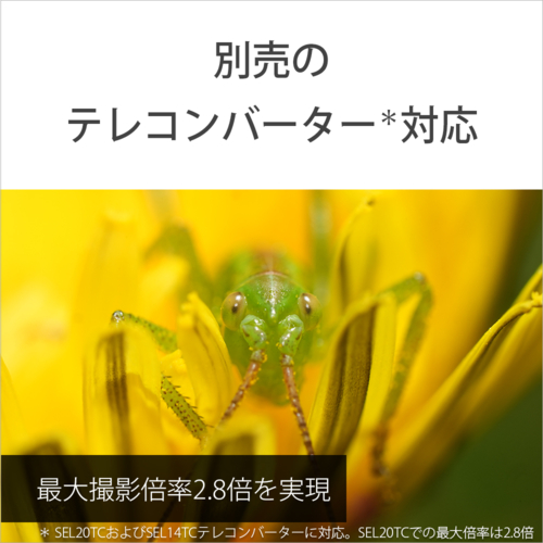 【長期保証付】ソニー(SONY) FE 100mm F2.8 Macro GM OSS ソニーEマウント SEL100M28GM 中望遠マクロレンズ_5