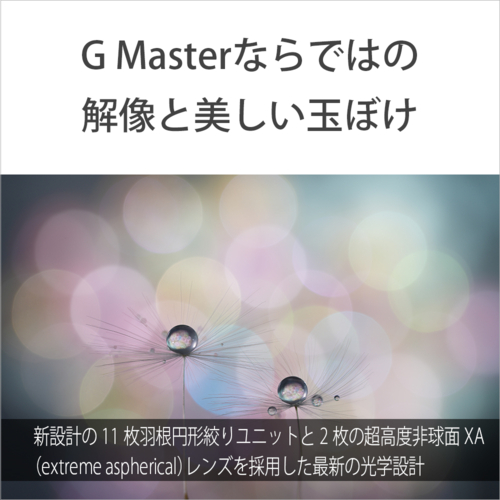 【長期保証付】ソニー(SONY) FE 100mm F2.8 Macro GM OSS ソニーEマウント SEL100M28GM 中望遠マクロレンズ_6