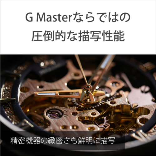 【長期保証付】ソニー(SONY) FE 100mm F2.8 Macro GM OSS ソニーEマウント SEL100M28GM 中望遠マクロレンズ_7