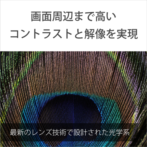 【長期保証付】ソニー(SONY) FE 100mm F2.8 Macro GM OSS ソニーEマウント SEL100M28GM 中望遠マクロレンズ_8