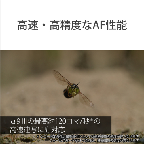 【長期保証付】ソニー(SONY) FE 100mm F2.8 Macro GM OSS ソニーEマウント SEL100M28GM 中望遠マクロレンズ_9