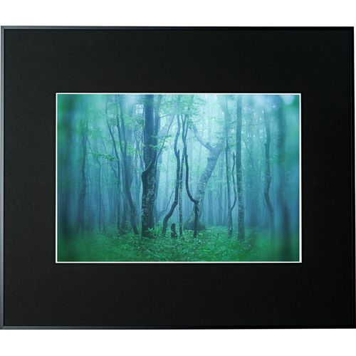 ケンコー(Kenko) AGY-A3-BK ブラック ギャラリー A3