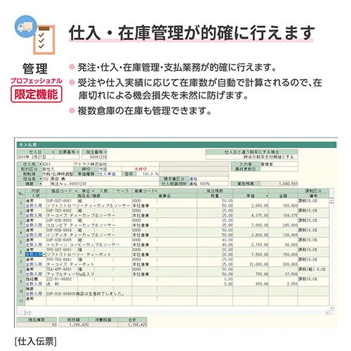 弥生 弥生販売 26 プロフェッショナル 通常版 HRAV0001_3