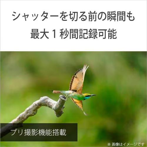 ソニー(SONY) α7V レンズキット ミラーレスデジタル一眼カメラ ILCE-7M5M_8