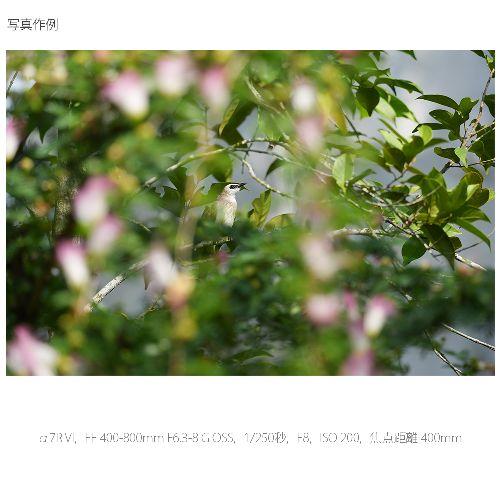 【長期間言いはなつ付】ソニー(SONY) α7R VI 上半身 鏡鑑レスデジタルカメラ ILCE-7RM6
