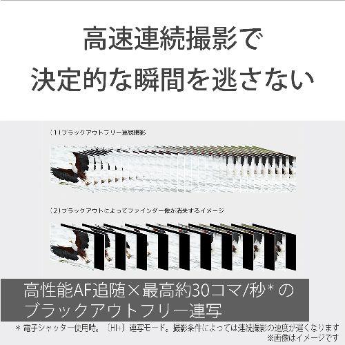 【長期間言いはなつ付】ソニー(SONY) α7R VI 上半身 鏡鑑レスデジタルカメラ ILCE-7RM6