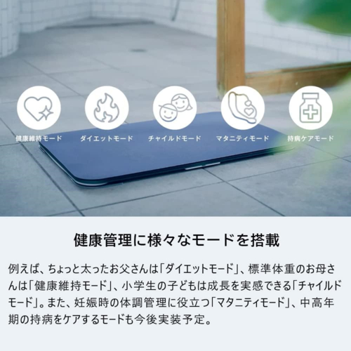 issin SBM22U01LJ-GN スマートバスマット グリーン 体重管理珪藻土