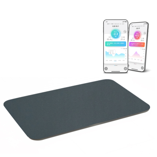 スマートバスマット(ダークグレー) 長期保証付】issin スマートバスマット ダークグレー 体重管理 珪藻土