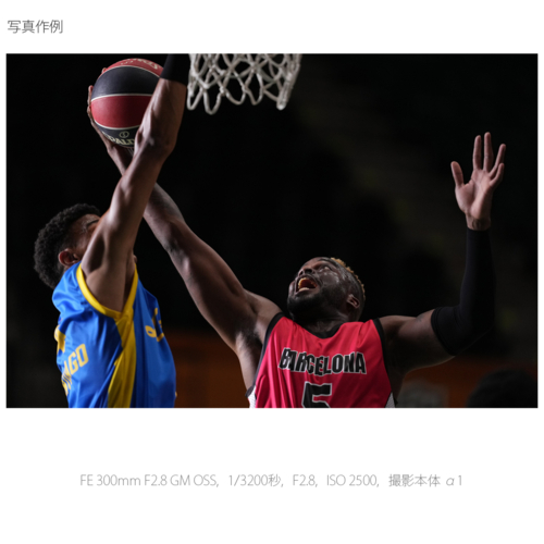 【長期保証付】ソニー(SONY) FE 300mm F2.8 GM OSS SEL300F28GM Eマウント用 フルサイズ 望遠単焦点レンズ_10